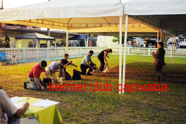 Clique sobre a foto para fechar